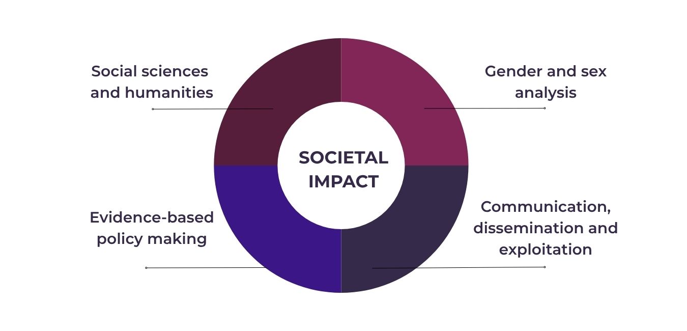 paradigma innovation competences